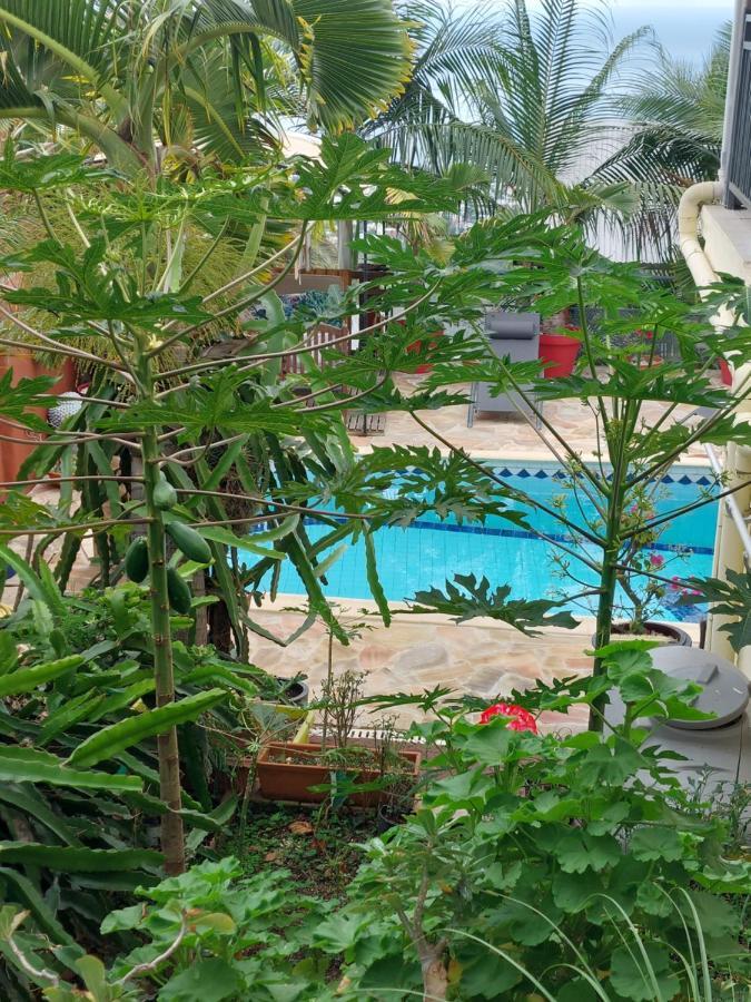 Nidamour, Un Logement Fait Pour Vous Saint-Paul Luaran gambar